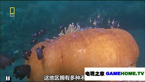 地球的面积和人口_地球能存活多少人口 移民外星并非良策(3)