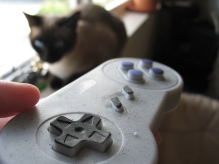 SNES controller soap