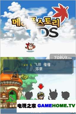 NDSðյDS