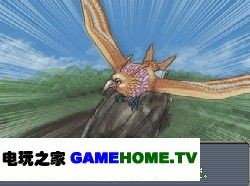 78.jpg