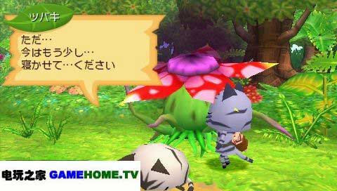 猫猫村G gamehome.tv