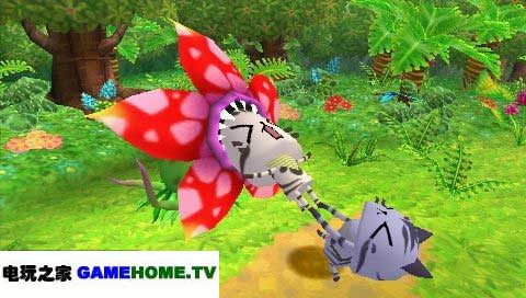 猫猫村G gamehome.tv