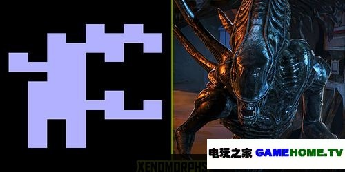 뵽룡ʮϷľޱ